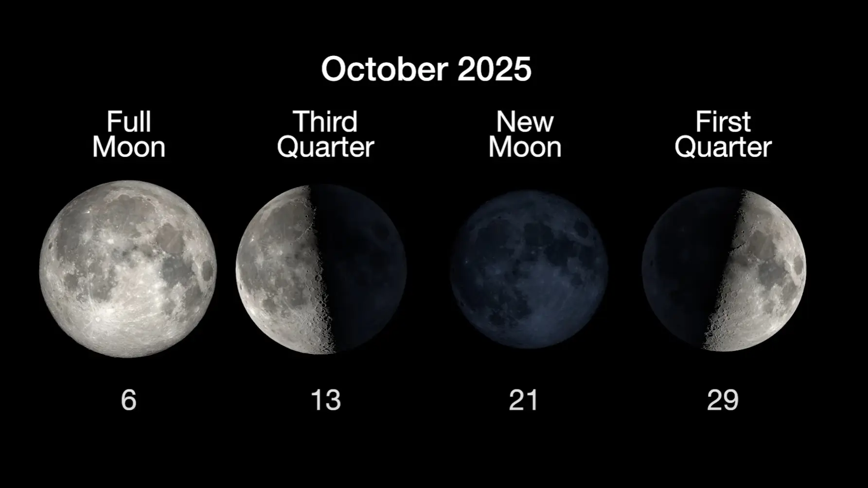 Experience the Moon Rise Today: A Celestial Spectacle