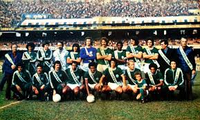 palmeiras-76.jpeg