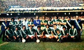 palmeiras-76.jpeg