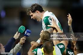 palmeiras-vs-bragantino-85.jpeg