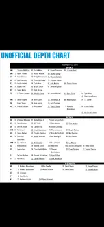 Understanding the 2023 Panthers Depth Chart image 1
