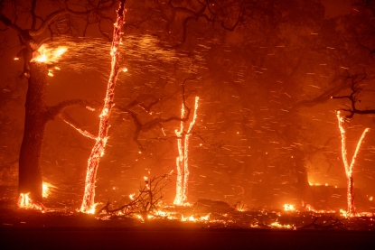 paradise-california-fire-105.jpeg