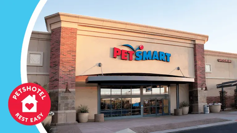 Exploring the Services and Products Offered by PetSmart image 1