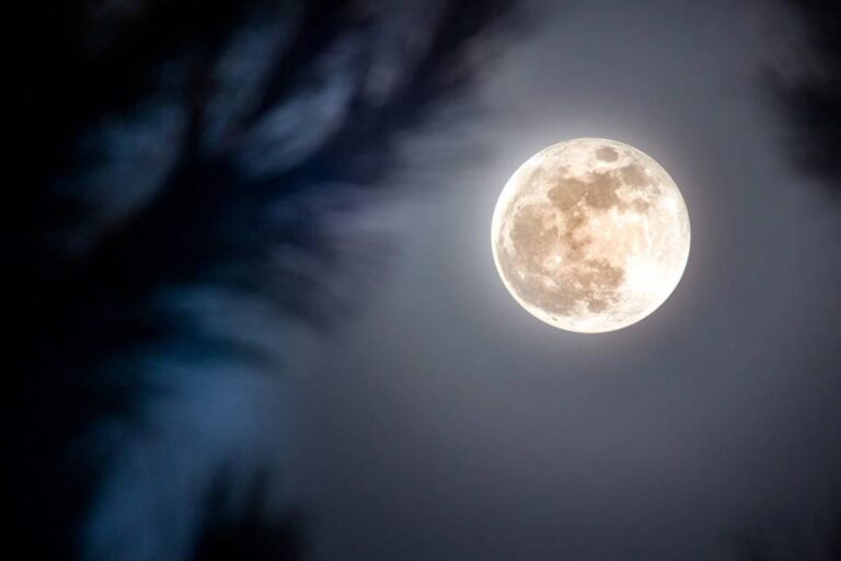 pleine-lune-octobre-2025-108.jpeg