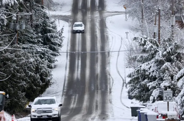 Understanding Seattle Weather: Current Trends and Forecasts