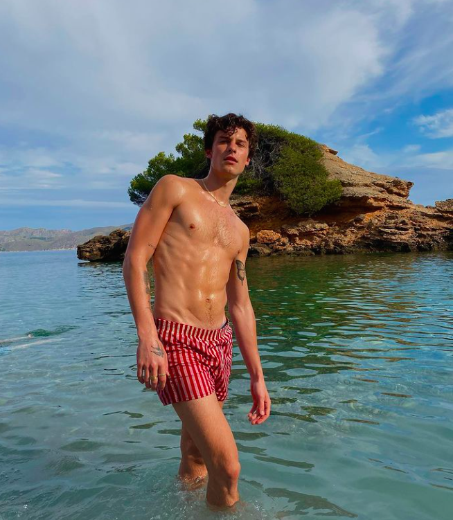 shawn-mendes-6.png
