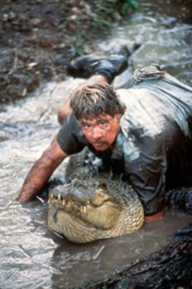 Remembering Steve Irwin: The Crocodile Hunter’s Enduring Legacy