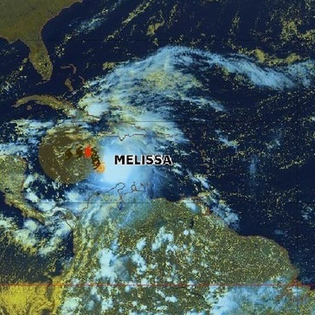 temp-te-tropicale-m-lissa-23.jpeg