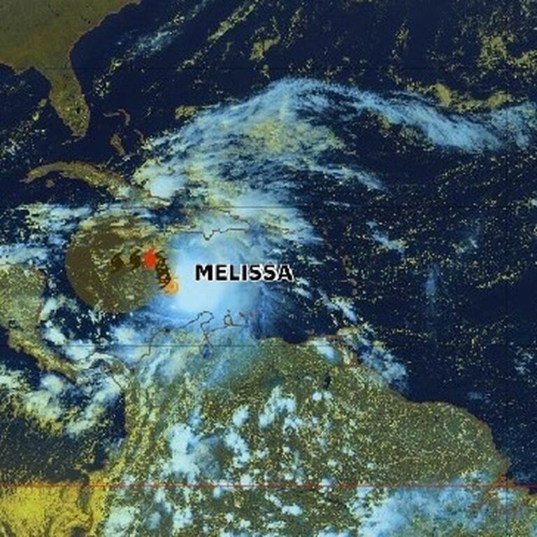 temp-te-tropicale-m-lissa-23.jpeg