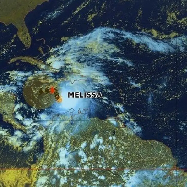 temp-te-tropicale-m-lissa-23.jpeg