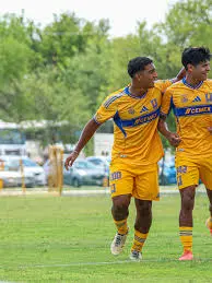 Tigres UANL vs Cruz Azul: A Clash of Titans in Liga MX