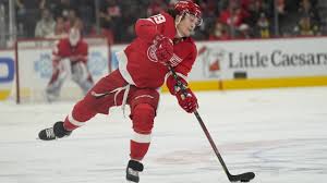 tyler-bertuzzi-156.jpeg