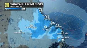 The Weather Network: Importance and Current Trends