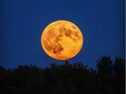 beaver-moon-2025-42.jpeg