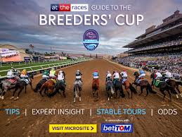 breeders-cup-2025-141.jpeg