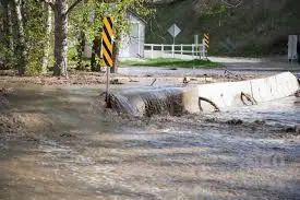 kamloops-news-74.jpeg