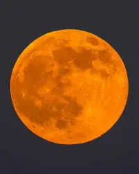moon-tonight-249.jpeg