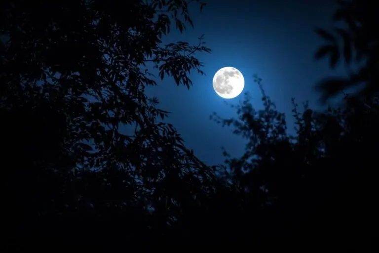 pleine-lune-super-lune-133.jpeg
