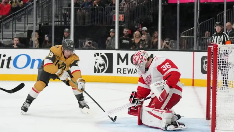 red-wings-vs-golden-knights-46.jpeg