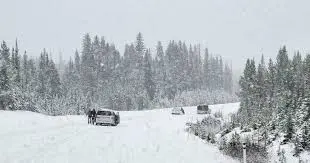snowfall-warning-93.jpeg