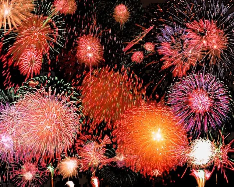 celebration-2026-182.jpeg