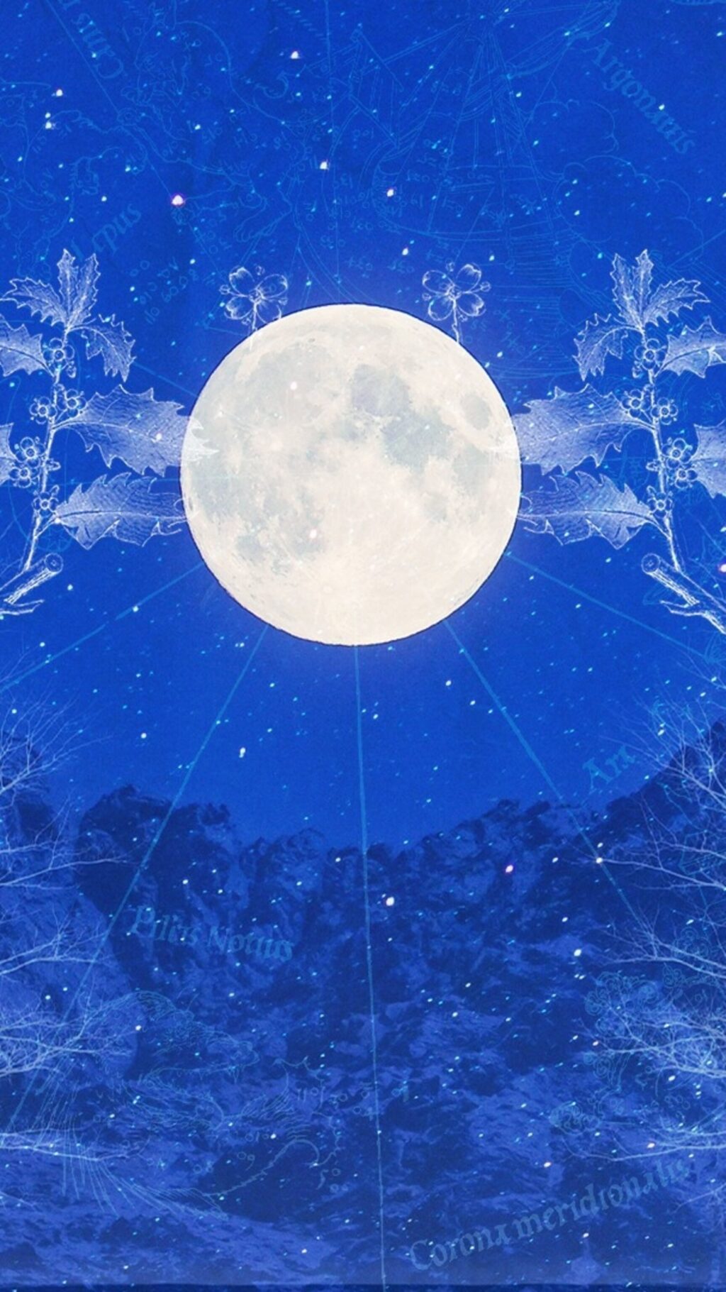 cold-moon-full-moon-astrology-15.jpeg