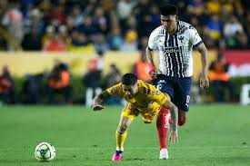 monterrey-tigres-246.jpeg