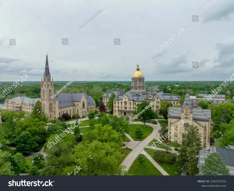 notre-dame-74.jpeg
