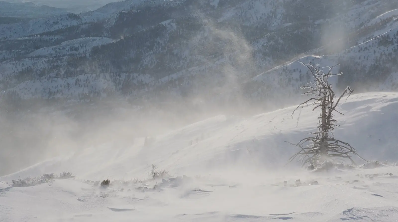 The Impact of Snow Squalls: What Canadians Need to Know