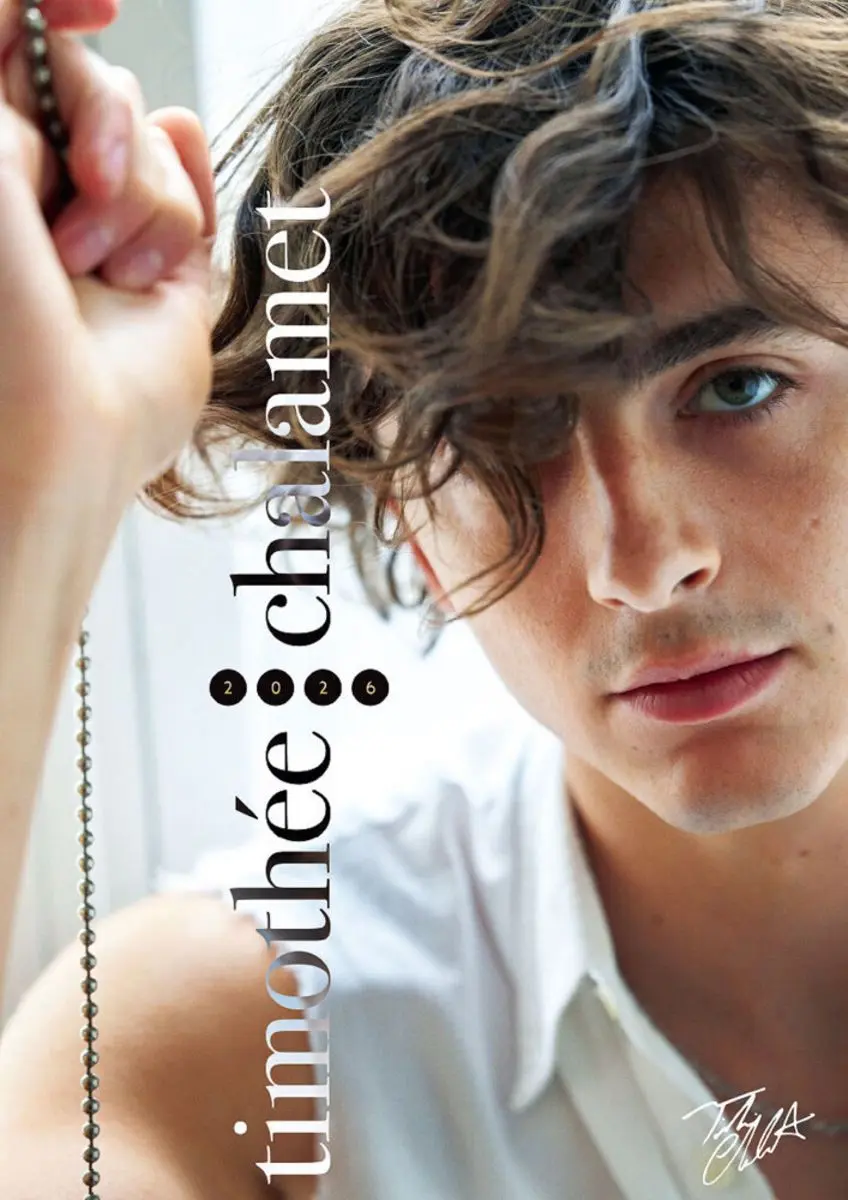 The Rapid Ascent of Timothée Chalamet in Film image 1