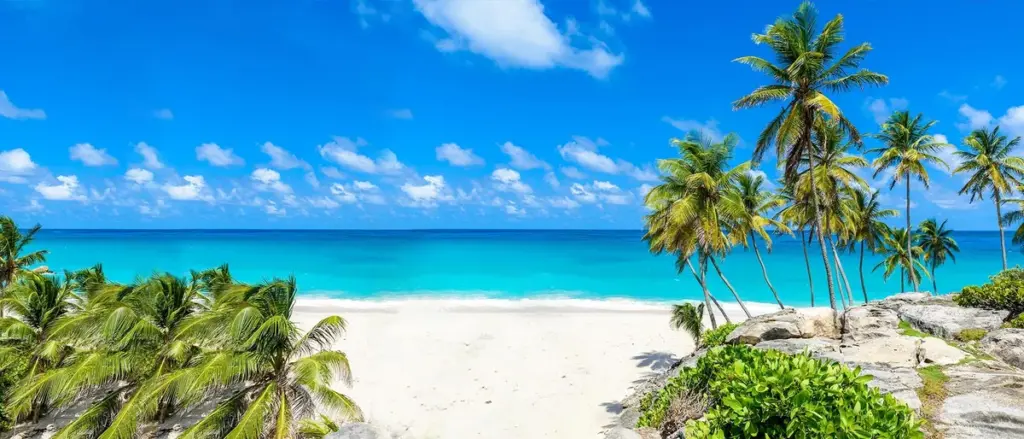 barbados — CA news