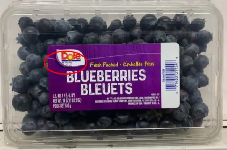 blueberry recall — CA news