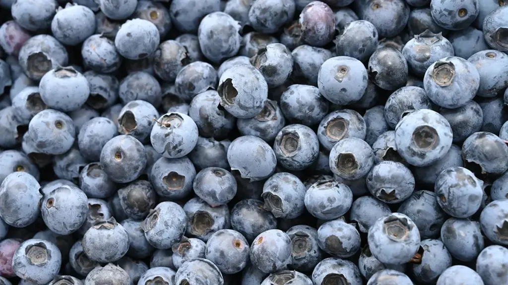 frozen blueberries recalled — CA news