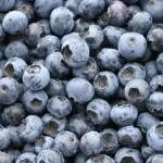 frozen blueberries recalled — CA news
