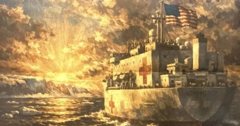 navire hopital groenland — CA news