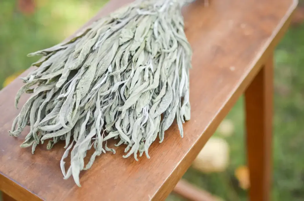 sage blair — CA news