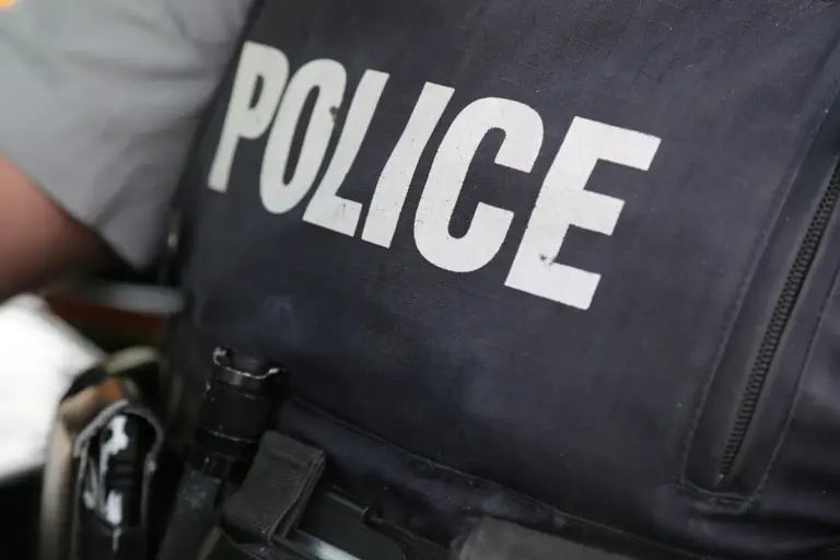 artificial intelligence news — CA news