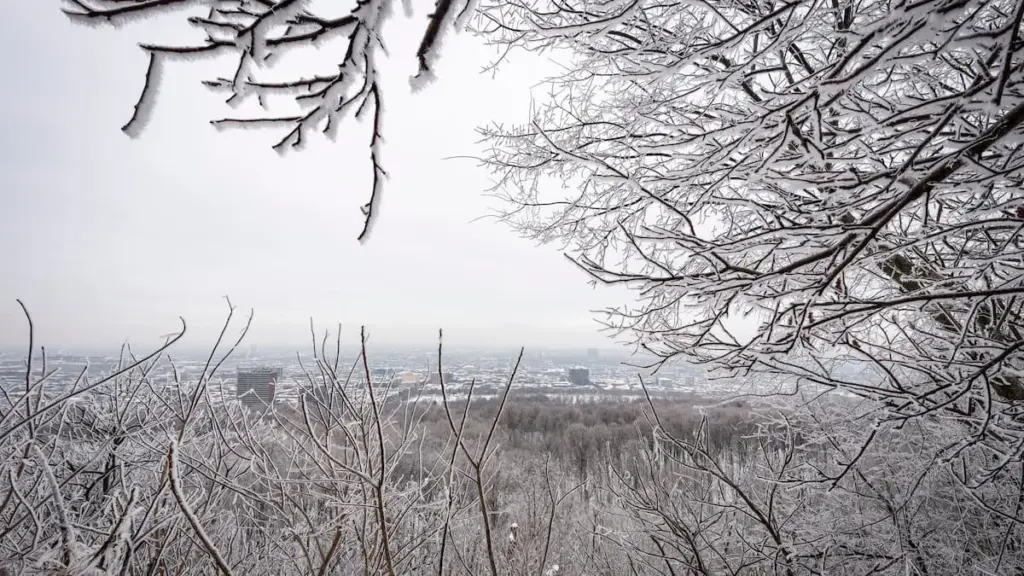 avertissement orange - pluie verglaçante — CA news