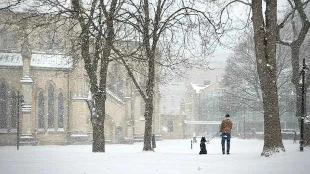 barrie weather — CA news