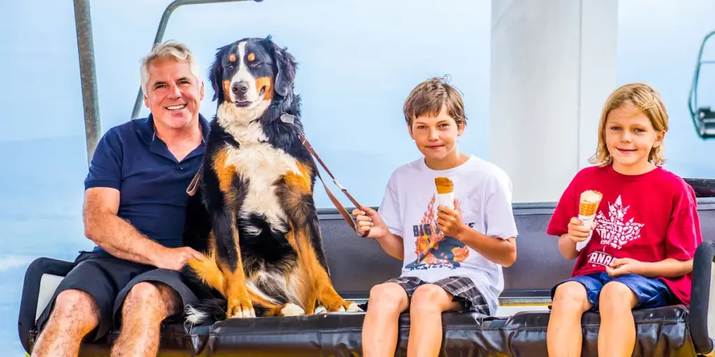 big white — CA news