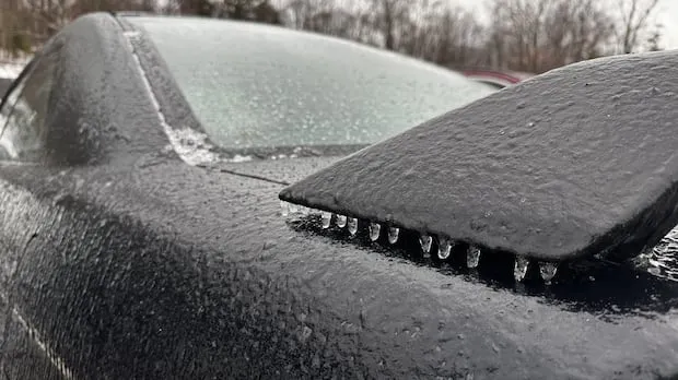 bus cancellation — CA news