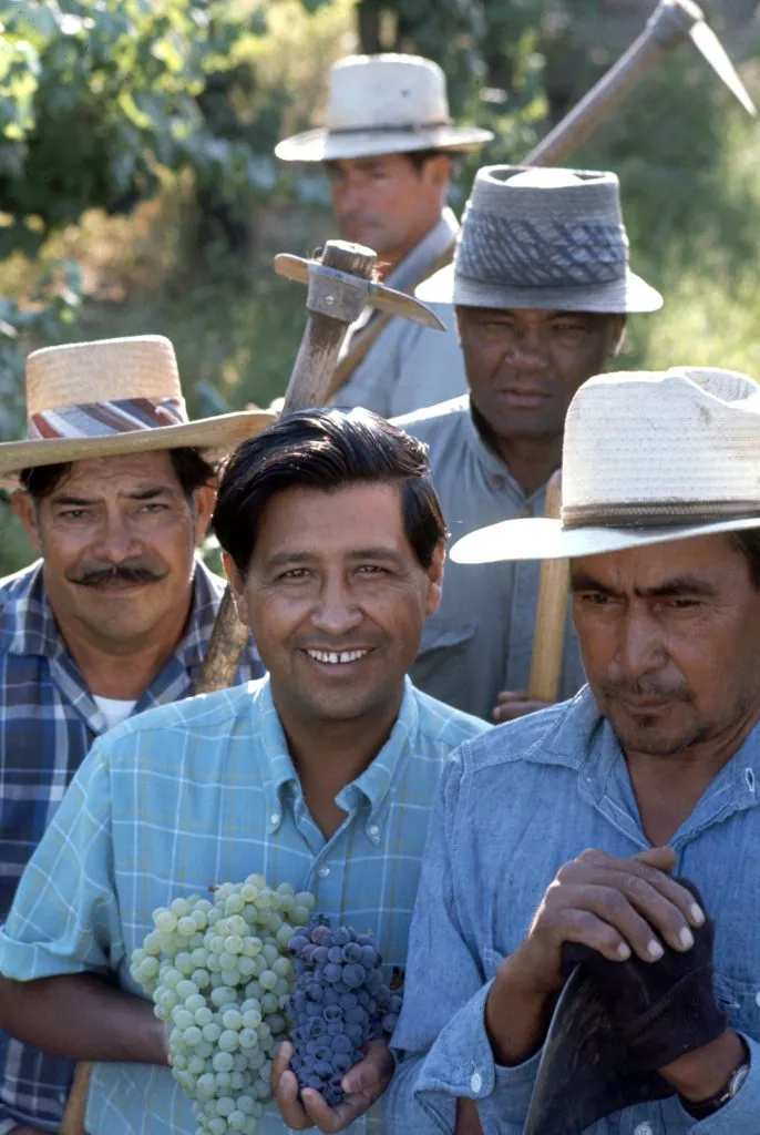 cesar chavez — CA news