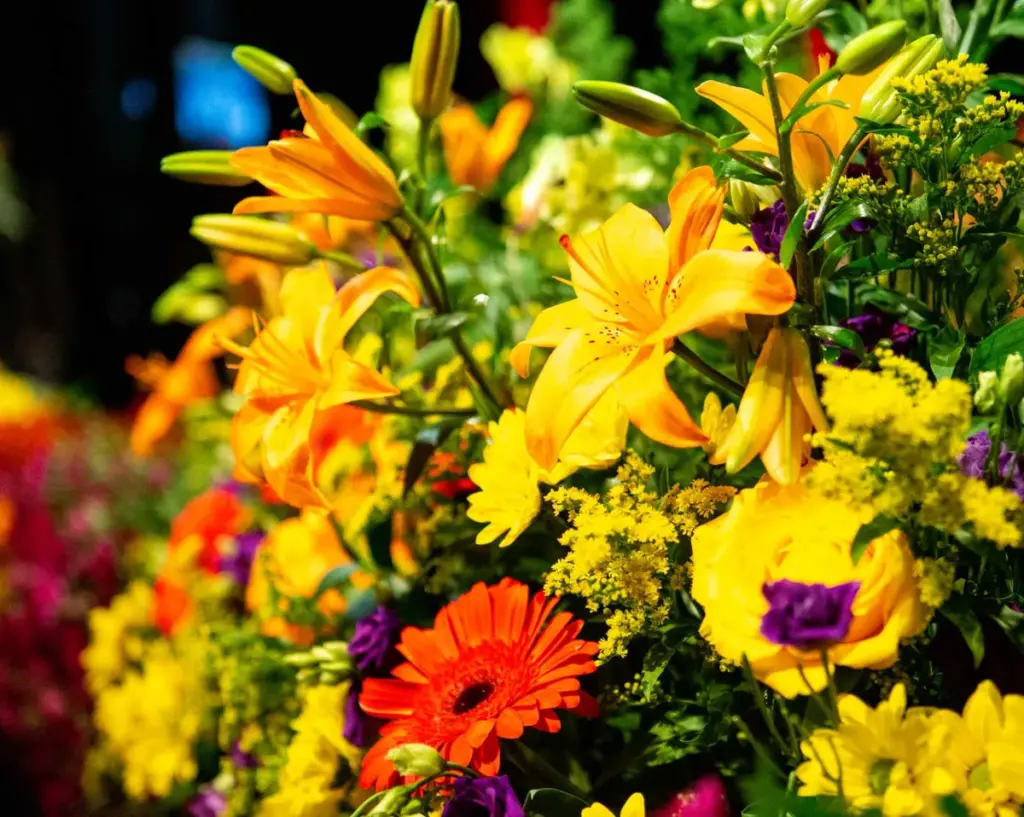 concordia — CA news