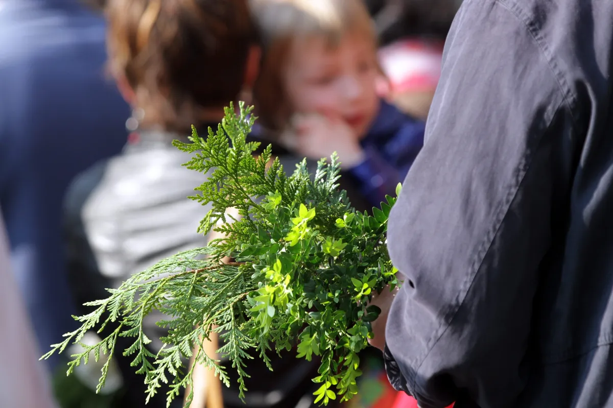 dimanche des rameaux — CA news