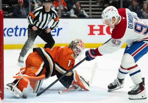 ducks d'anaheim — CA news