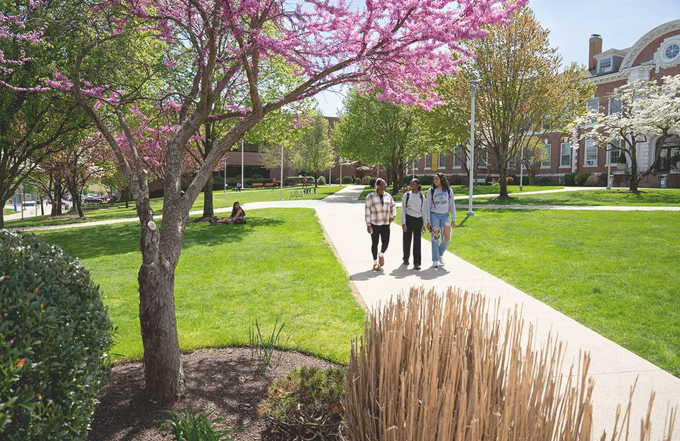 eid al fitr 2026 — CA news