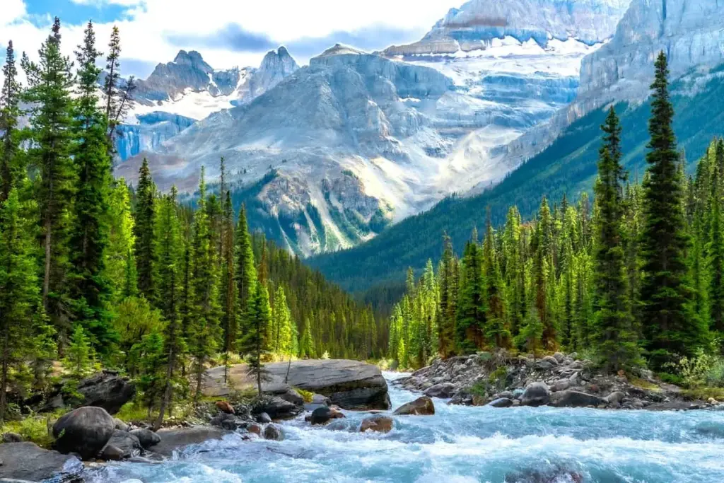 express entry draw — CA news