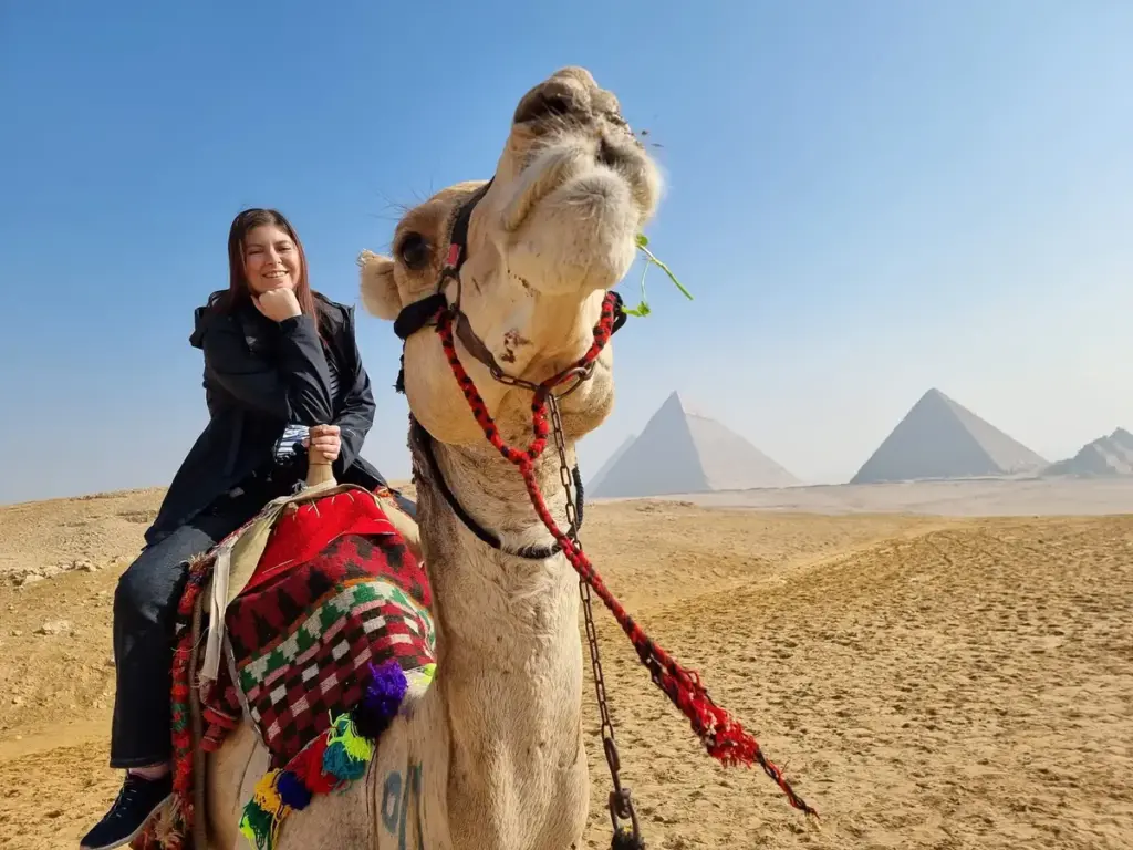 halifax airport — CA news