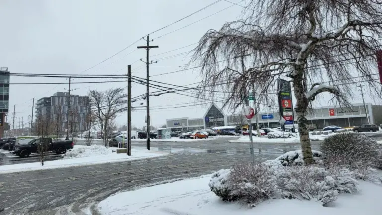 halifax weather — CA news