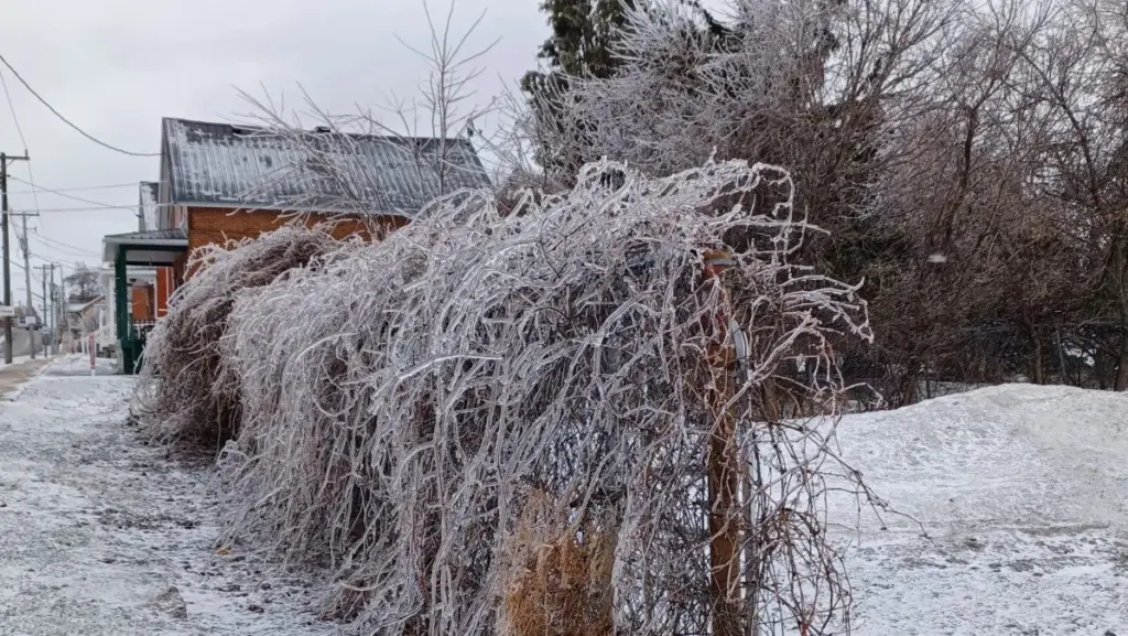 hydro one outage — CA news